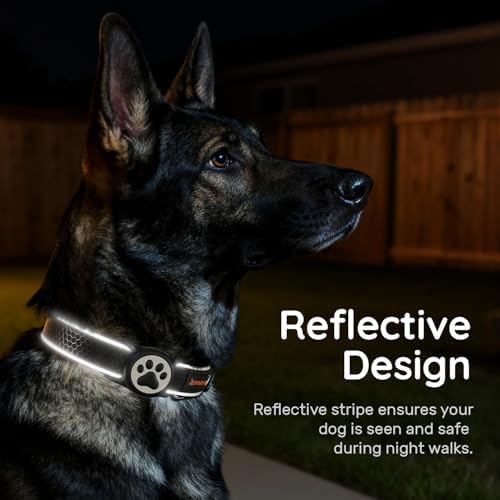 Heavy Duty Dog Collar with Silicone AirTag Holder, Waterproof & Reflective Padded Pet Collar for Night Walking, Hotpink Plaid Oxford Cloth, Adjustable Buckle (Black S)