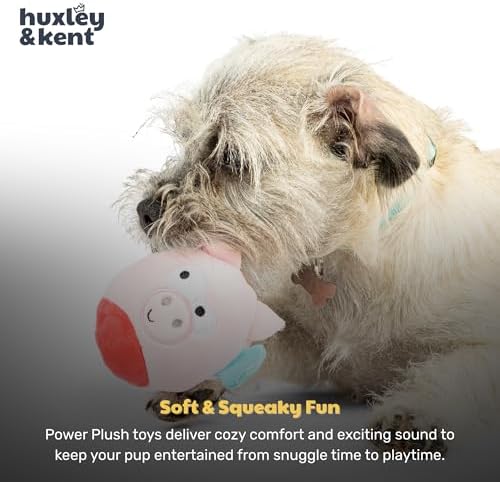 Huxley & Kent Funny Dog Toy w/Squeaker – Power Plush Squeaky Dog Toys for Small Dogs – Durable Small Stuffed Animal for Indoor Play & Fetch - Tiny Tuff Flying Piggasus
