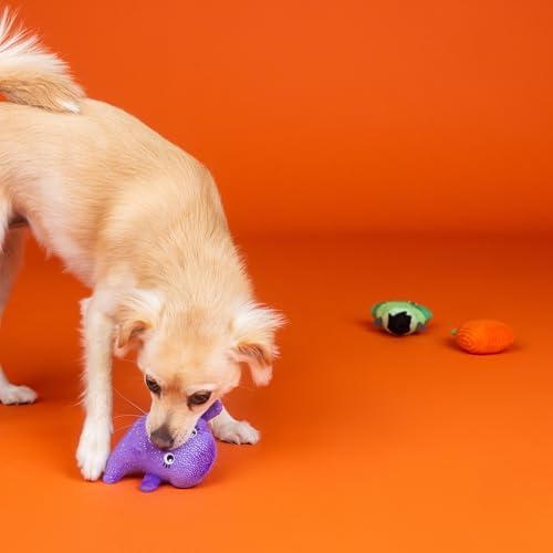 Fringe Studio Small Plush Dog Toy Set, Spooky Squad, 3 Piece Set, PetShop Collection (662130)
