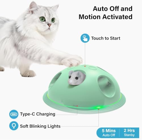 Pawingcat Cat Toys for Bored Indoor Cats Interactive String and Mouse