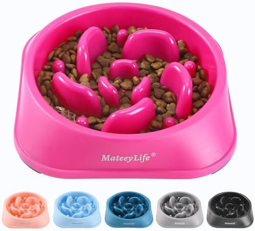 MateeyLife 1-Pack Slow Feeder Dog Bowls, 2 Cups, Dog Puzzle Feeder Bowl
