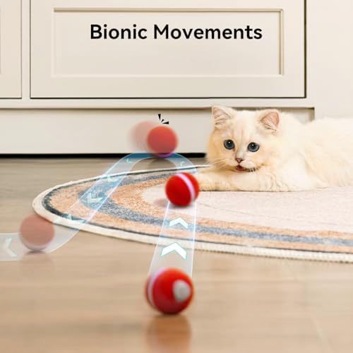 Cheerble Interactive Cat Ball Toy, Wicked Ball M3, Automatic Interactive Cat Toys for Indoor Cats with 3 Modes, Rechargeable Cat Enrichment Toys for Small/Medium/Large Cats to Keep Them Busy