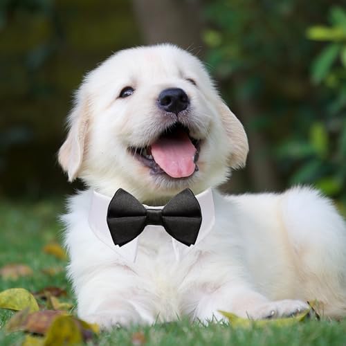 Dog Bowtie, KOOLMOX Tux Dog Collar for Weddings with Handcrafted Adjustable White Collar and Black Tie, Classic Neck Tie for Small to Medium Dogs Cats Puppies Valentine's Costumes