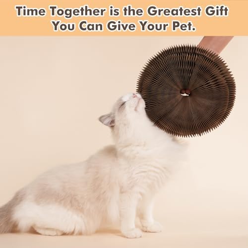 Magic Organ Cat Scratcher Toy with 2 Bell Balls - Interactive Transformable Cat Scratching Board, Foldable Corrugated Cardboard Track Toy for Indoor Cats & Kittens