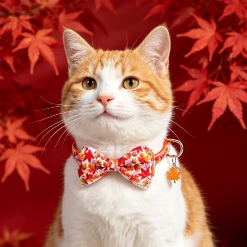 KOOLTAIL Cat Collar with Bow Tie and Bell - 3 Pack Cute Cat Collars Breakaway,Adjustable Kitten Collar with Safety Buckle for Girl Boy Kitty Holiday