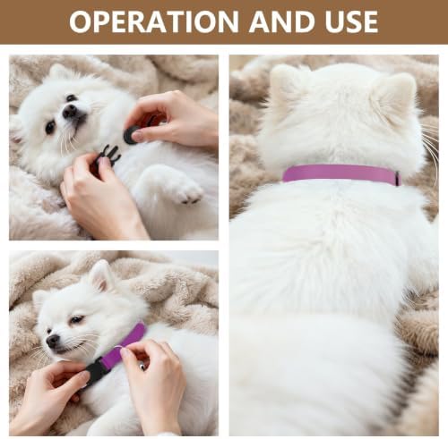 Purple Gradient Cat Collar Breakaway with Bell 2 Pack Small Dog Collar Adjustable 10.6 to 17.1 Inches