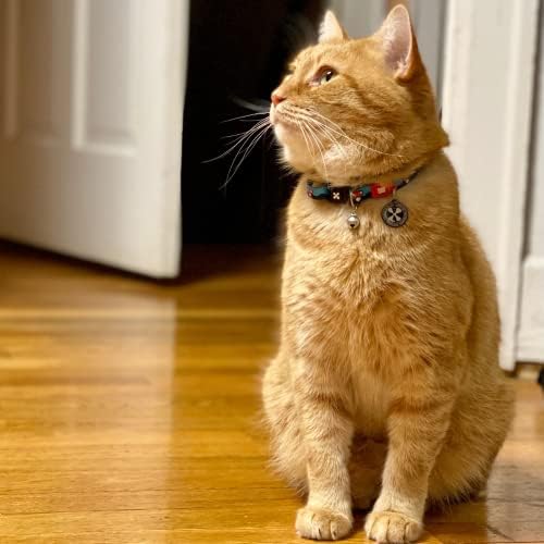 Max & Molly Fun & Whimsy Cat Collar w/Jingle Bell, Breakaway Safety Buckle, Adjustable Sizing & Smart ID Personalized Tag for Girl or Boy Cats/Kittens, Frenzy The Shark Design