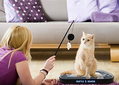 Cat Scratching Toy Hockey Field ICE HOCKEY RINK Cat Scratcher Toy with Interactive Cat Ball Bell in Tracks. 5-in-1 CAT TOY: Cat Wand Poll, CATNIP FILLED Plush Hockey Puck & Feathers