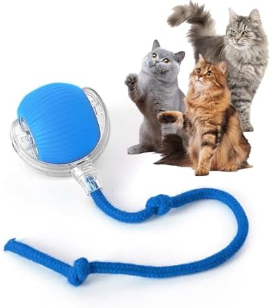 Rocfish Durable Interactive Cat Toys for Indoor Cats (blue01, 01)