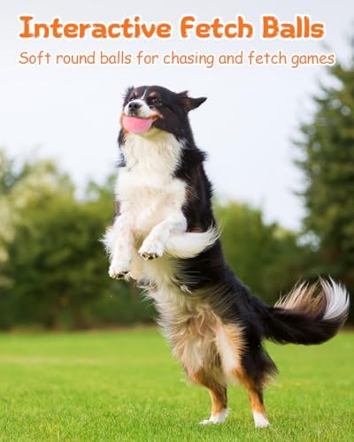 Squeaky Dog Toys, Interactive Soft Plush Puppy Toy Balls for Small Medium Breed, Cute Stuffed Pet Teething Ball Pack to Keep Dogs Busy