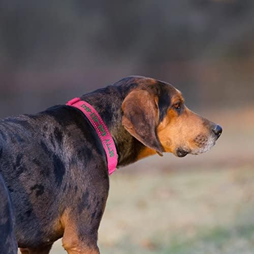 Personalized Martingale Dog Collar-Reflective Martingale Collars with Buckle, Custom Training Martingale Dog Collars Embroidered with Name and Phone Number for Small Medium Large Dogs