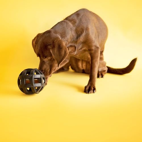 JW Pet HOL-ee Roller Extreme Puzzle Ball, Medium 4.5in, Natural Rubber