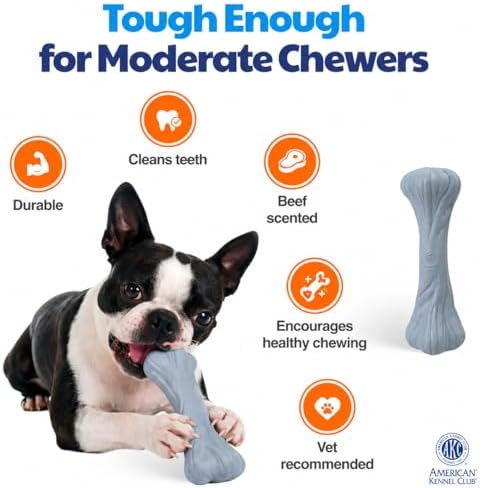 American Kennel Club Training Dog Chew Toy, Large PP Bone Dog Toy, Durable Dog Toy for Moderate Chewers, Beef Scented for Long-Lasting Engagement, Supports Dental Health, Blue