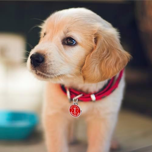 Pet Dwelling Service Dog ID Tag with QR Code – Scan to Contact Owner Instantly, No App Needed, Smart Dog & Cat Tag with Free Personalized Pet Profile