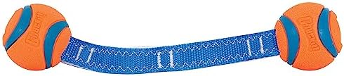 Chuckit! Ultra Duo Tug Toy, Small Indoor and Outdoor for Dogs 0-20 Pounds