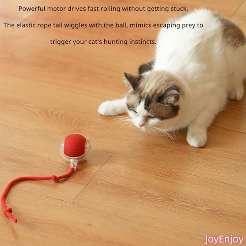 Interactive Cat Toy Rolling Ball with Tail, Motion Activated Indoor Cats
