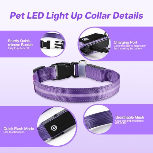 RUXAN Light Up Dog Collar,Dog Lights for Night Walking,LED Collars Waterproof,Glow Dog Collars Rechargeable,Glow in The Dark Dog Collar,Dog Collars Light for Small,Medium,Large Dogs (Small,Purple)
