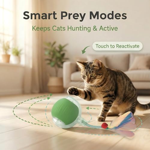 Interactive Cat Toy for Indoor Cats - Automatic Cat Toy Ball with Tail, Self Moving Electric Kitten Toys, USB Rechargeable Smart Rolling Ball, Motion Activated Cat Enrichment Toys for Bored Cats Green