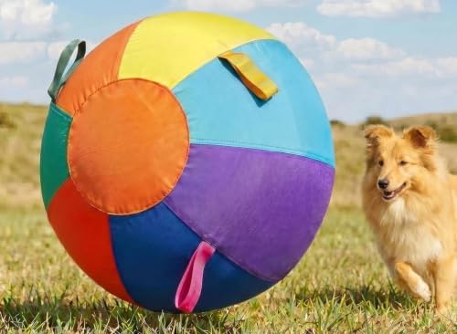 Herding Ball for Dogs, 21.5" XL Outdoor Exercise Toy for Medium Large Dogs