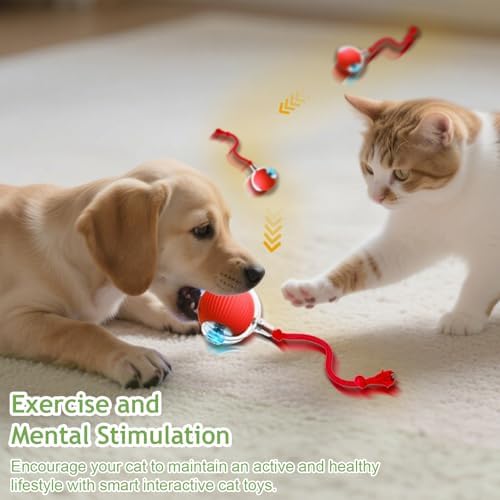 Jiexily Interactive Cat Toys Balls for Indoor Cats, 2025 New Motion Activated Cat Balls with 360° Smart Automatic Rolling Moving for Bored Kitten Pet Cats Dogs (Red)