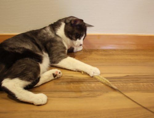 Catty Man Jereneko Silver Grass 2 Pcs, Interactive Cat Teaser Wand Feather Cat Toy Made In Japan