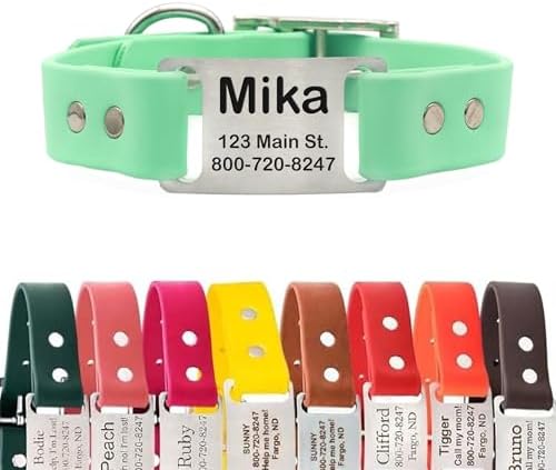 dogIDs Personalized Dog Collar – ScruffTag Custom Waterproof Biothane Dog Collar with Laser-Engraved Name, Durable & Odor-Resistant – USA Made | Mint, 3/4 in x 16 in (Fits Neck Sizes 14-18 in)