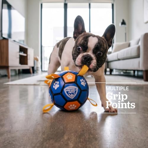 Interactive Dog Soccer Ball for Dogs, 6” with Straps & Grab Tabs, Floats on Water, Fetch & Training Toy for Small/Medium Dogs, Herding Breeds, Waterproof Non-Toxic – ProBall Pets – Blue Orange