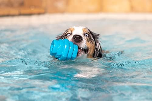 Hive Chew Toy for M/L Dogs – Blue/Soothing Vanilla Scent – Chew, Fetch, & Treat-Dispensing Enrichment Toy, Floats, Made in USA, Pairs with Hive Chew Sticks for M/L Dogs for Longer-Lasting Play