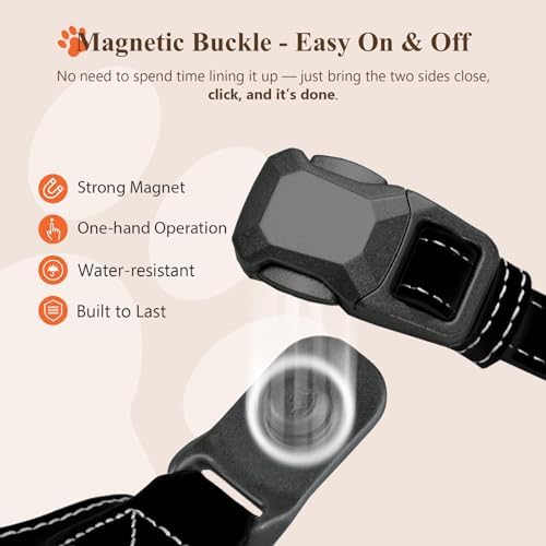 Magnetic Dog Collar and Leash Set with Quick Release Buckle, Easy On & Off Faux Leather Puppy Collar with 4FT Leash for Small, Medium Dog