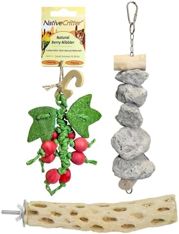 Exotic Nutrition Chew Toy Bundle - Natural Interactive Chew Toys - Chinchillas, Guinea Pigs, Hamsters, Rabbits, Degus, Prairie Dogs, Small Pets
