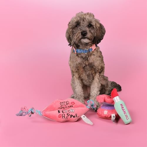 Mean Girls, Interactive Toy Bundle for Dogs, Squeaky Makeup Kit Dog Toy Set