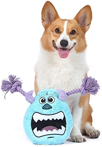 Disney for Pets Pixar Monsters Inc Sulley Rope Head Dog Toy, 9 Inch