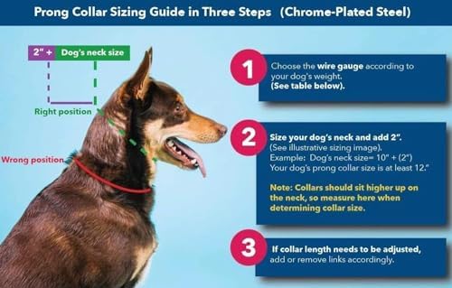 Herm Sprenger Prong Collar for Dogs Training – Quick Release Buckle & Swivel Ring for Easy Use – Made of Durable Steel Chrome Plated in Germany– 4.0mm Prongs for Extra Large Dogs with 26-30" Neck