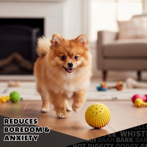 Pet Qwerks Animal Sounds Babble Ball - Interactive Chew Dog Toy - Large