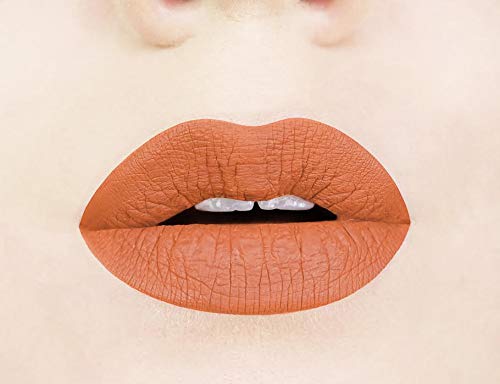 Aromi Matte Liquid Lipstick | Nutmeg, Orange Lip Color, Squash Shade, Long-Lasting, Waterproof (Burnt Pumpkin)