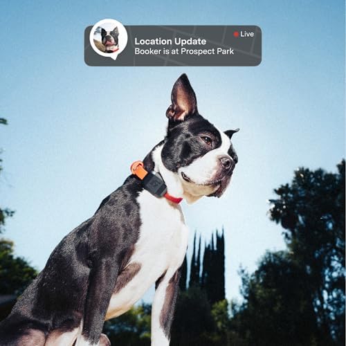 Fi Mini Attachable GPS + Health Tracker for Dogs, 6-Month Membership | Smart GPS collar attachment with virtual fences, escape alerts, health and step tracking. Lightweight and waterproof.