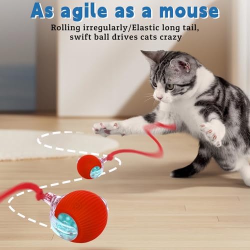Interactive cat Toys for Indoor Cats, Speedy Tail 3.0 Cat Toy, Motion Activate cat Toy Ball，Automatic Toys for Bored Indoor Cats, Speedy Tail 2.0 Cat Toy, Rechargeabl