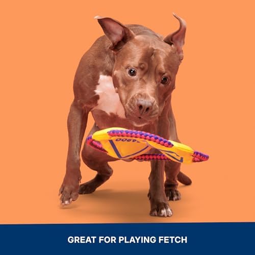 BarkBox Kangaroo Tossing Flying Disc Dog Toy - for Dogs