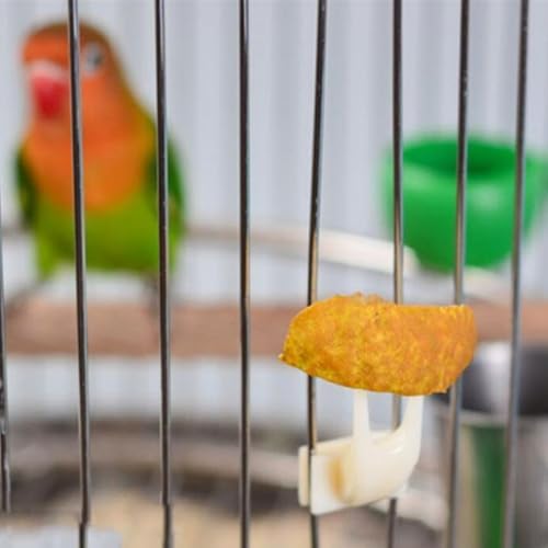 Bird Food Feeder for Cage, Bird Parrots Cage Food Holder Fruit Feeder Fork Set of 10 Fruit Vegetable Feeding Tool Feeding Forks for Cockatoos Treats