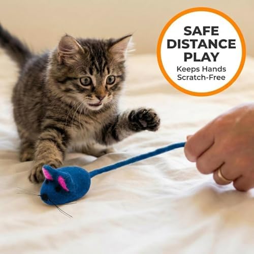 Glaciart One Felt Mouse Cat Toy – Soft Fuzzy Enrichment 100% Natural Wool - Interactive Catnip Play Cat Toy Set - Safe for Pets, Non-AZO Colored Dyes - 42” Long