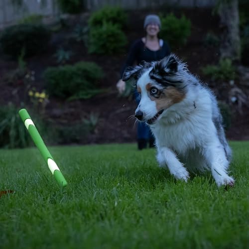 Chuckit! Ultra Fetch Stick Interactive Dog Toy, 12in, 2 Pack