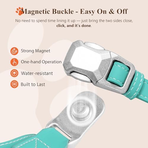 Magnetic Dog Collar and Leash Set with Quick Release Buckle, Easy On & Off Faux Leather Puppy Collar with 4FT Leash for Small, Medium Dog