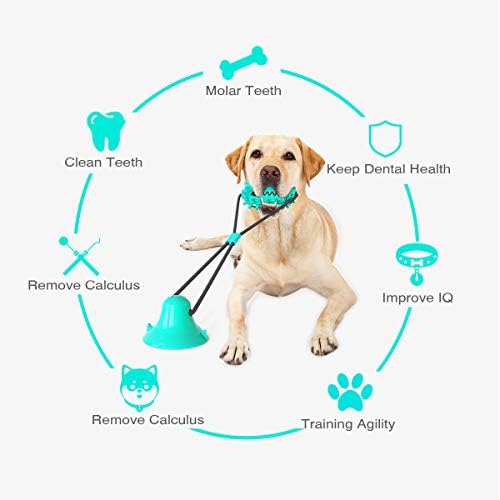 Guardians Dog Chew Toy with Suction Cup for Aggressive Chewers, Puppy Training Treats Food Dispensing Toothbrush Pet Teeth Cleaning Rope Toys for Small Medium Dogs (Blue Cactus)