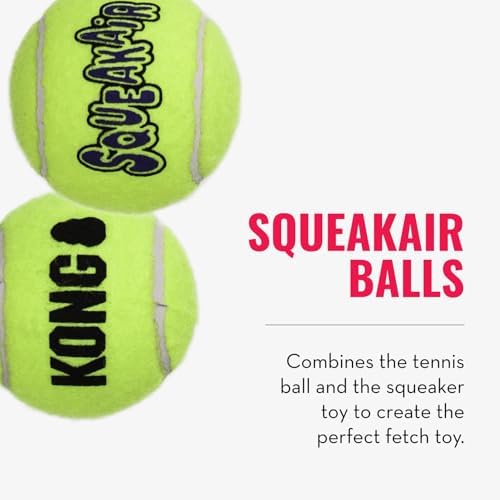 KONG Cozie Ali Alligator and SqueakAir Balls, 3 Pack, for Medium Dogs
