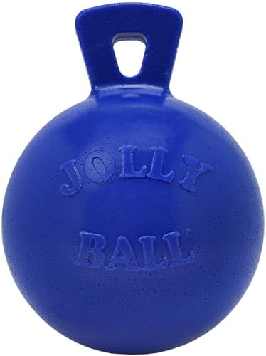 Jolly Pets Tug-n-Toss - Heavy Duty Chew Ball w/ Handle (Blue, 6") for Medium Breeds