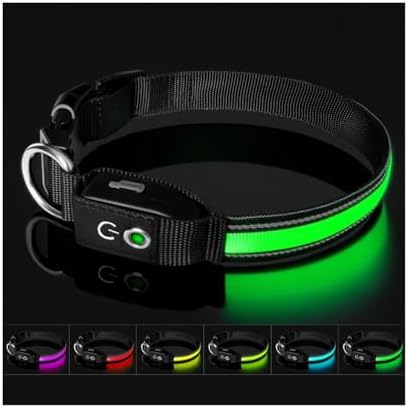 Auto Light Up Dog Collar - Smart Safety Night Collar with Motion Sensor - Auto-On in Dark - USB-C Rechargeable - 3 Day Runtime- IP65 Waterproof (M 15-20“)
