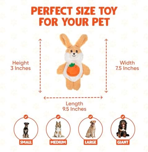 Snackerz Plush Dog Toy - Ruff Guard Technology - Large Squeaker & Hidden Fruit with Squeaker for Burrowing Fun and Interactive Play - Squeaky Dog Toys Suitable for All Breeds