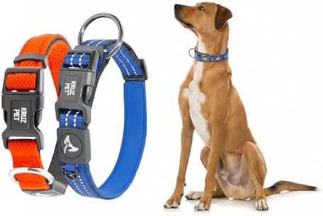 Dog Collar Bundle | Includes Small Orange (Width- 3/4", Neck - 10.5"-14.5") Medium Blue (Width- 3/4", Length - 17"-21.5") | Adjustable Padded with Heavy Duty O-Ring | Comfortable Fit for Dogs