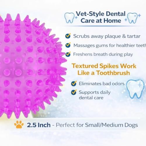 Squeaky Spiky Dog Ball for Teeth Cleaning & Gum Massage 2.5 Inch Small Medium Dogs Purple | Spiny TPR Rubber Chew Toy for Fetch Play Interactive Bouncy Dental Ball Durable BPA Free Nontoxic Floats