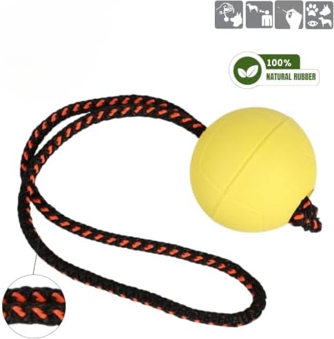 Dingo Dog Ball with Short Handle, Natural Rubber